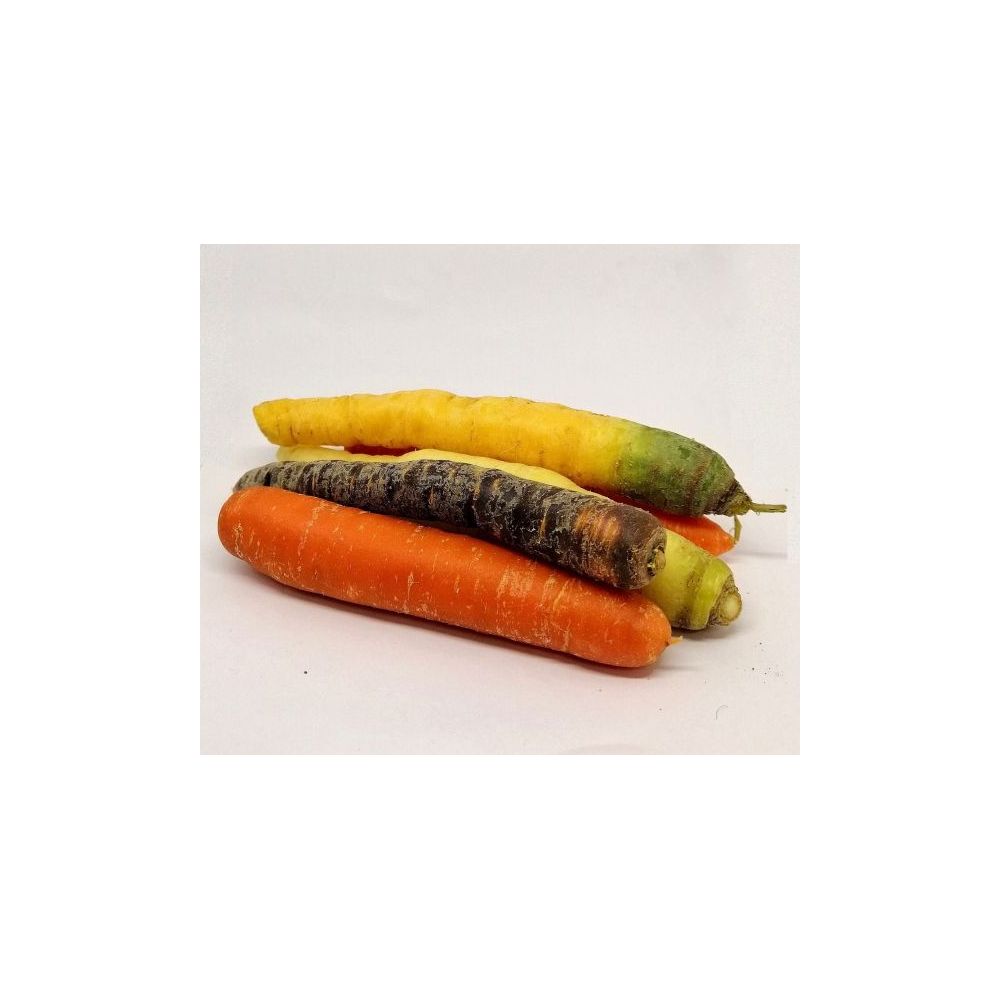 Carottes Couleur BIO* Manche. 4,40€/kg