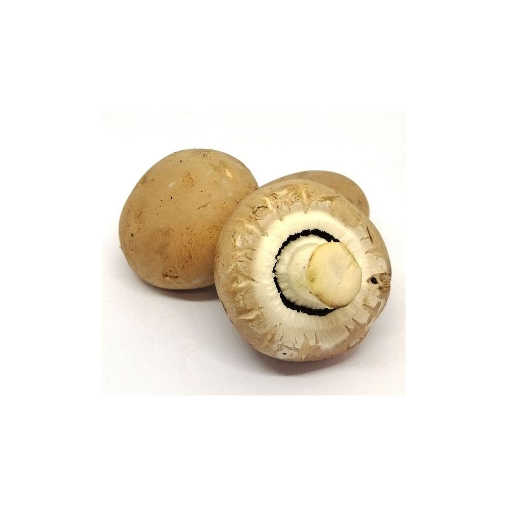 Champignons BIO* France. 17,90€/kg