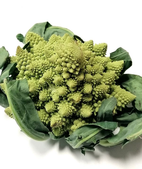 Chou Romanesco BIO* France