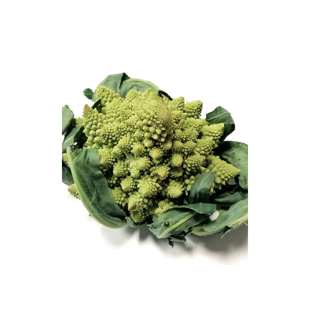 Chou Romanesco BIO* France