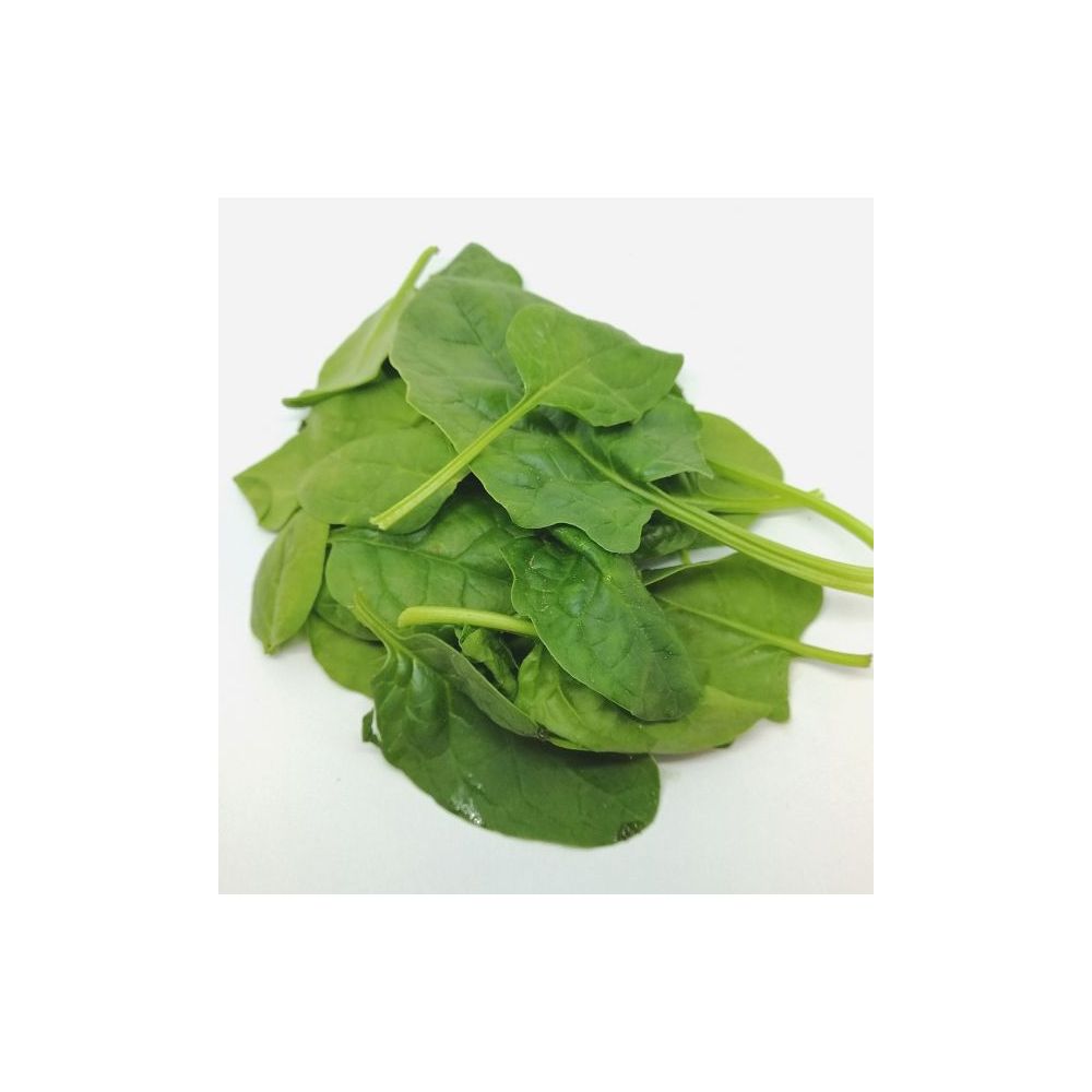 Epinards jeunes pousses BIO* Cotentin. 15,95€/kg