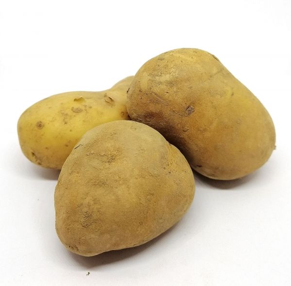 Pommes BIO* Cotentin. 4,95€/kg - C'est 5 par jour : fruits et légumes