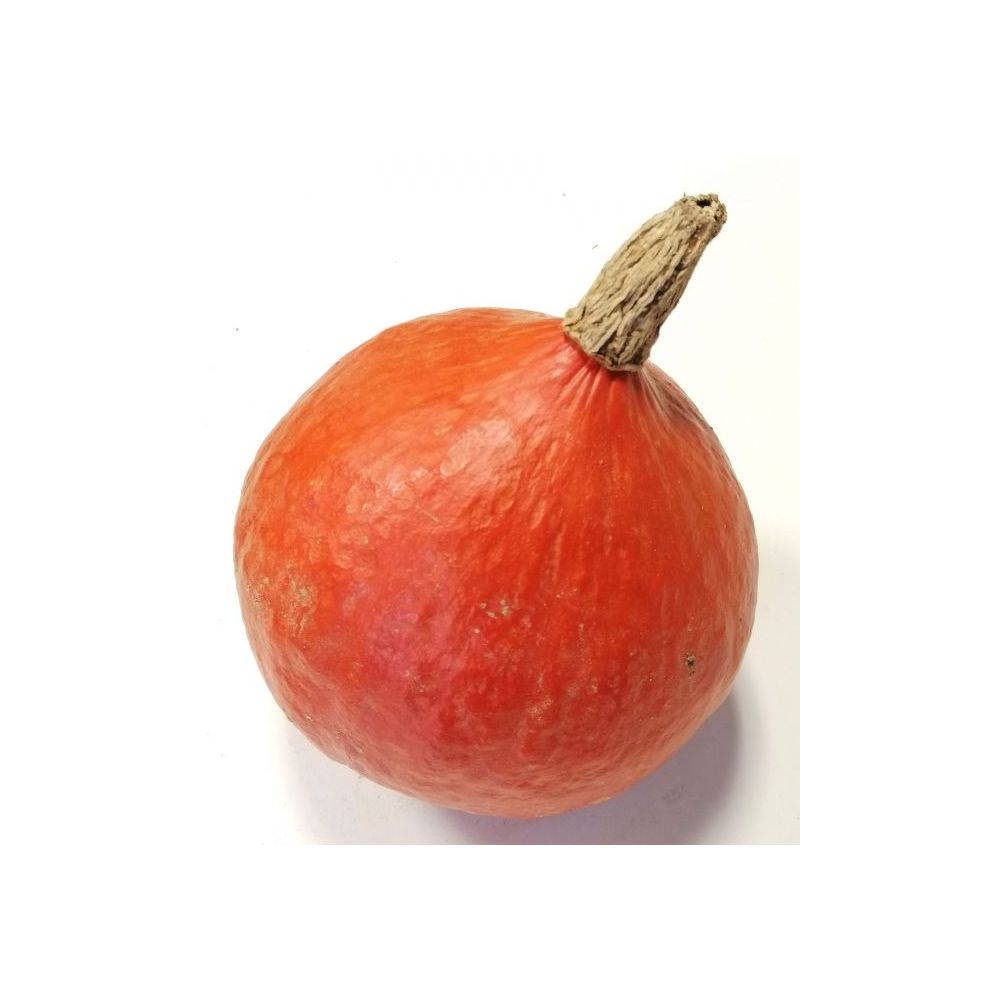 Courge Potimarron BIO* France. 3,90€/kg