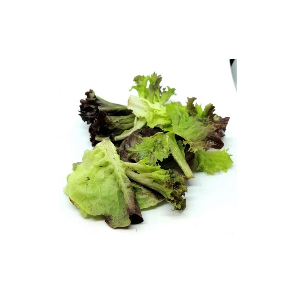 Salade Mesclun BIO* Cotentin. 19,95€/kg