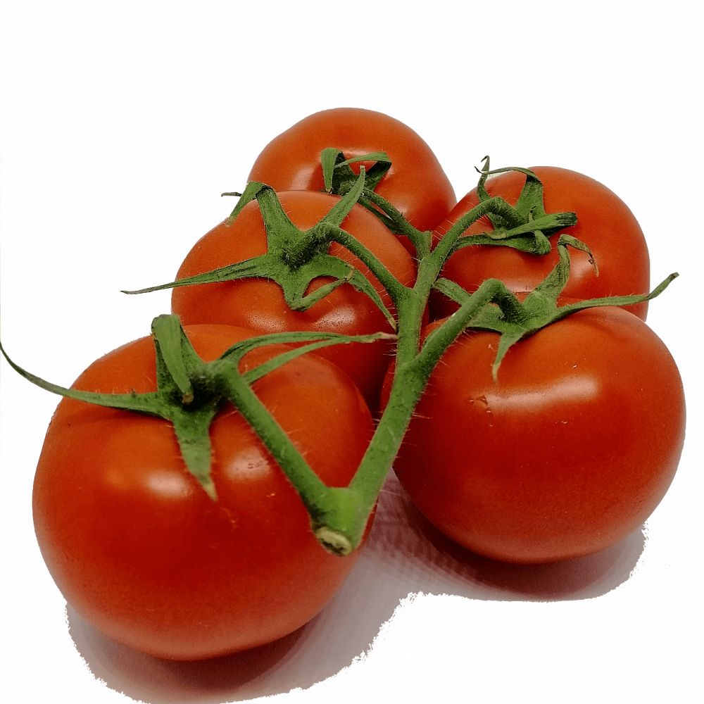 Tomates grappes ou rondes BIO  France. 6,60€/kg