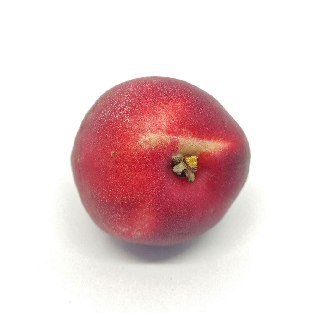 Nectarines Jaunes BIO* France. 11.50€/kg