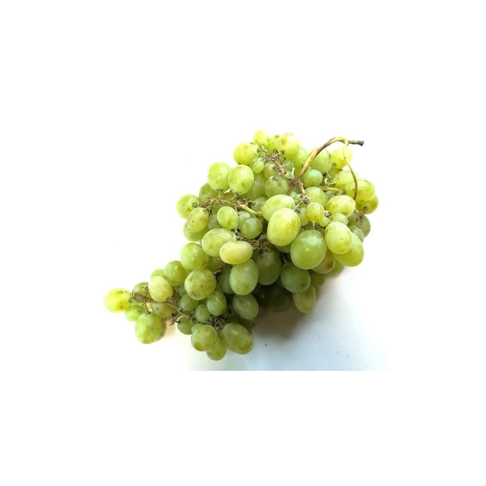 Raisin Blanc ou rouge BIO* Italie. 4,90€/kg