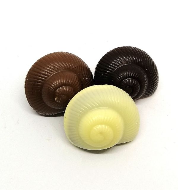 Chocolats escargots  praliné et chocolat blanc lait et noir 37,95€/kg