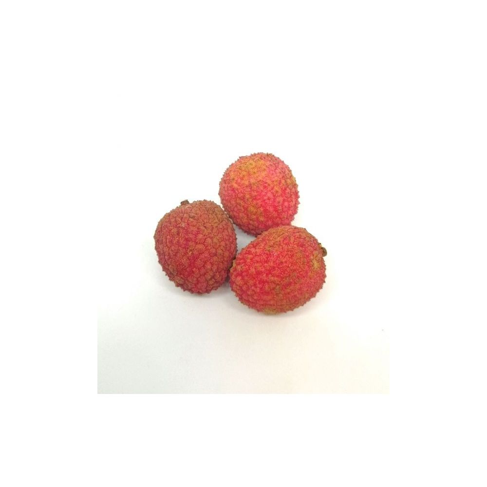 Litchi branche BIO* Madagascar 22,90€/kg