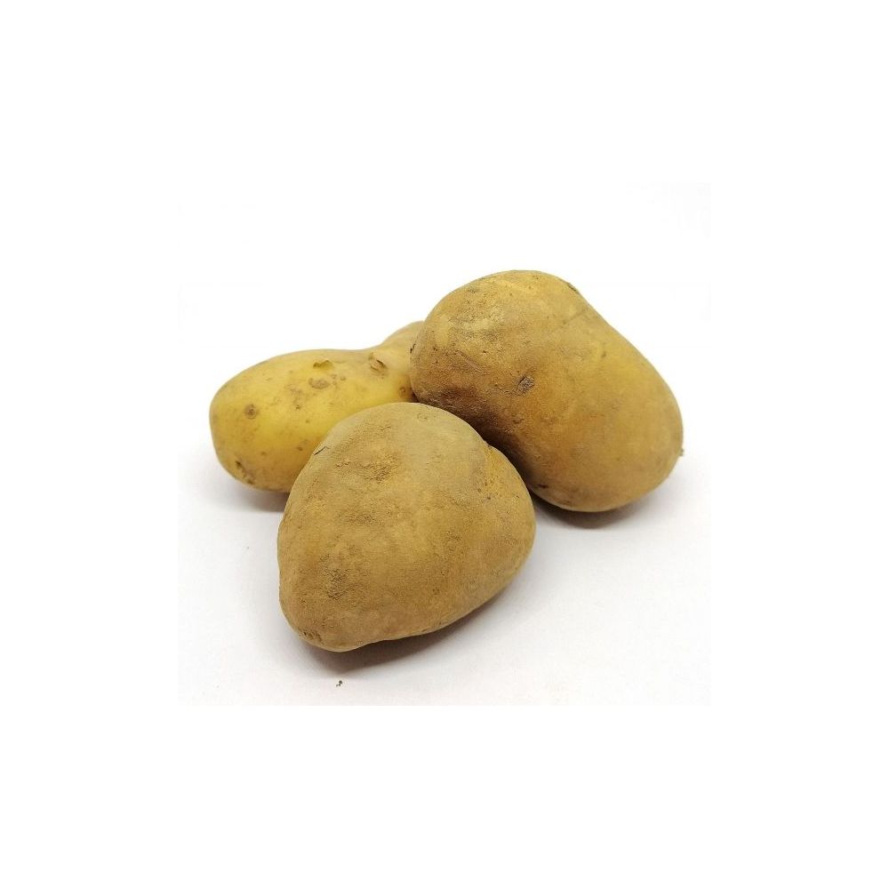 Pomme de terre chair tendre Agria BIO* France. 3,50€/kg