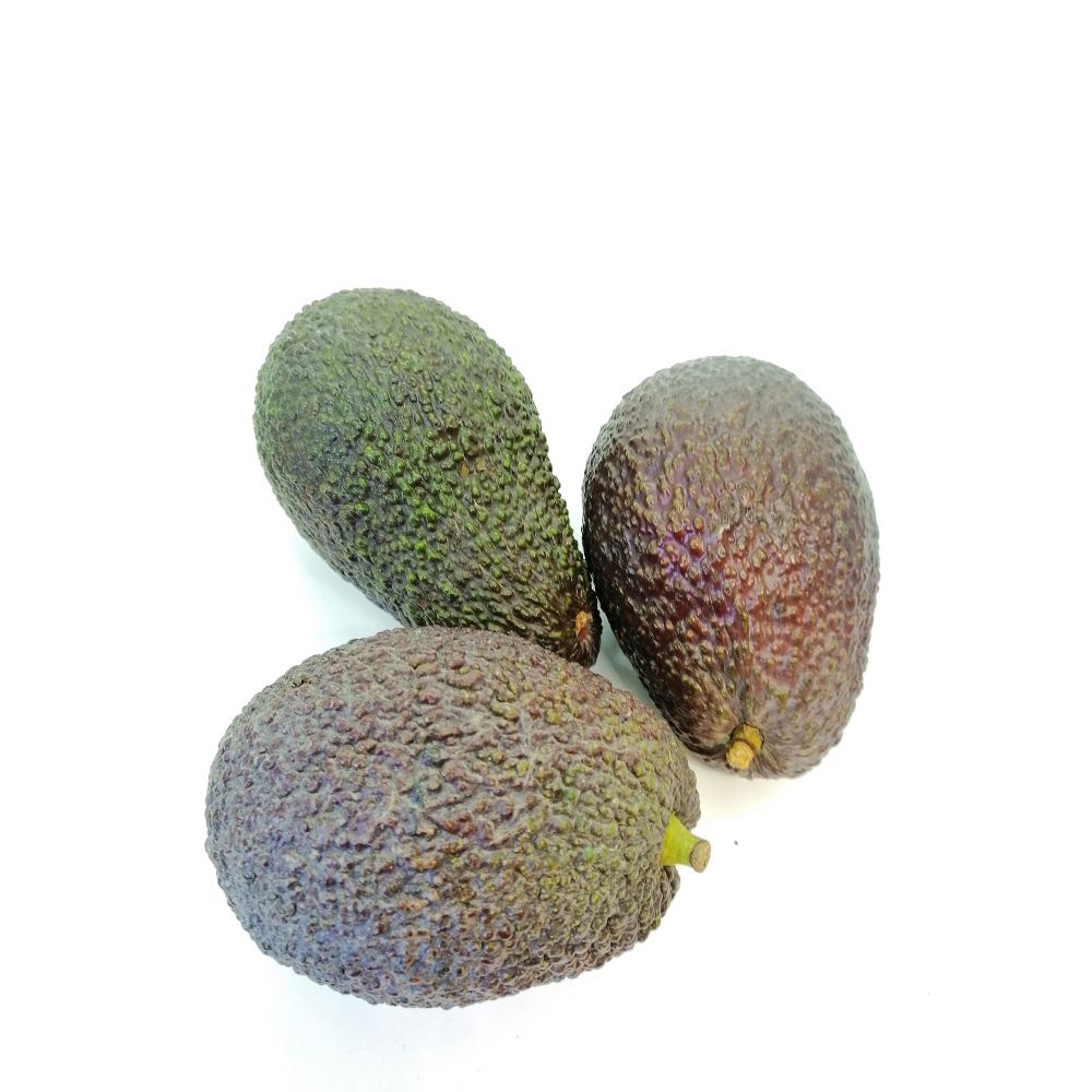 Avocats Haas BIO*Pérou lot de 3