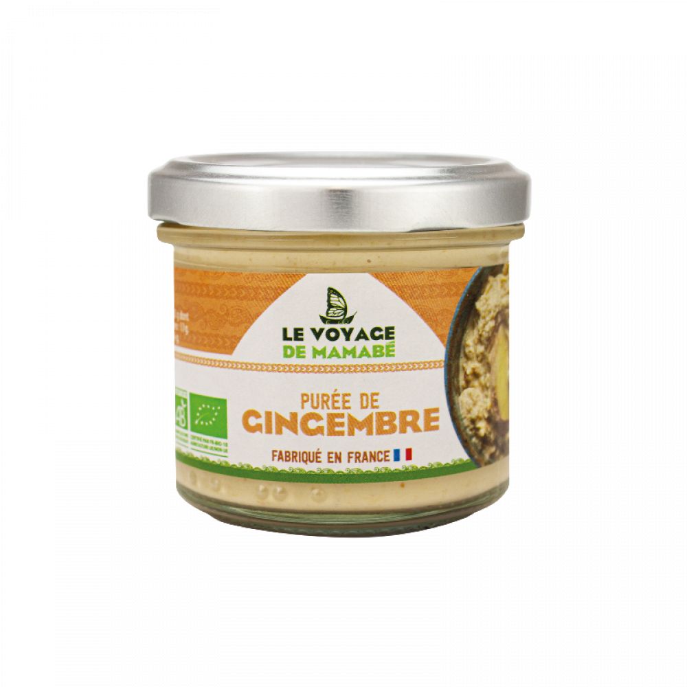 Purée de gingembre BIO 100g