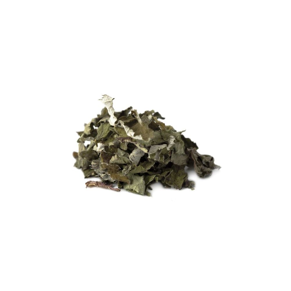 éphémère Tisane fraicheur d'été BIO* 50g