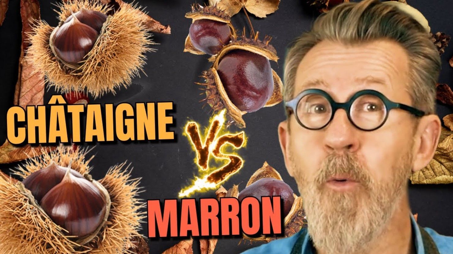 chataigne ou marron vidéo jamy epicurieux