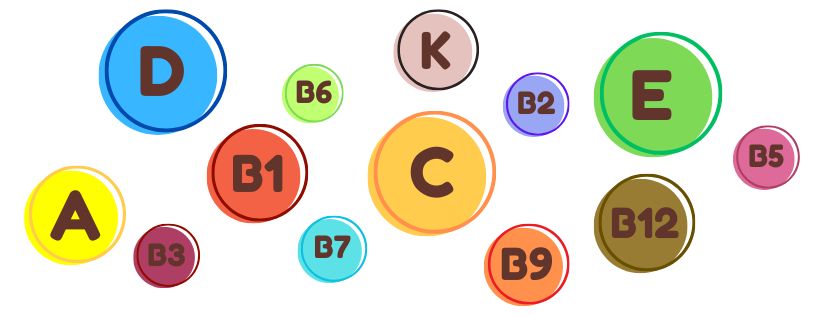 les 13 vitamines indispensables à l'organisme