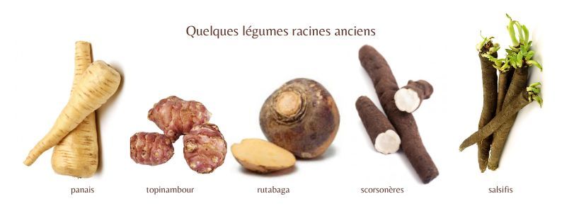 quelques legumes racine anciens